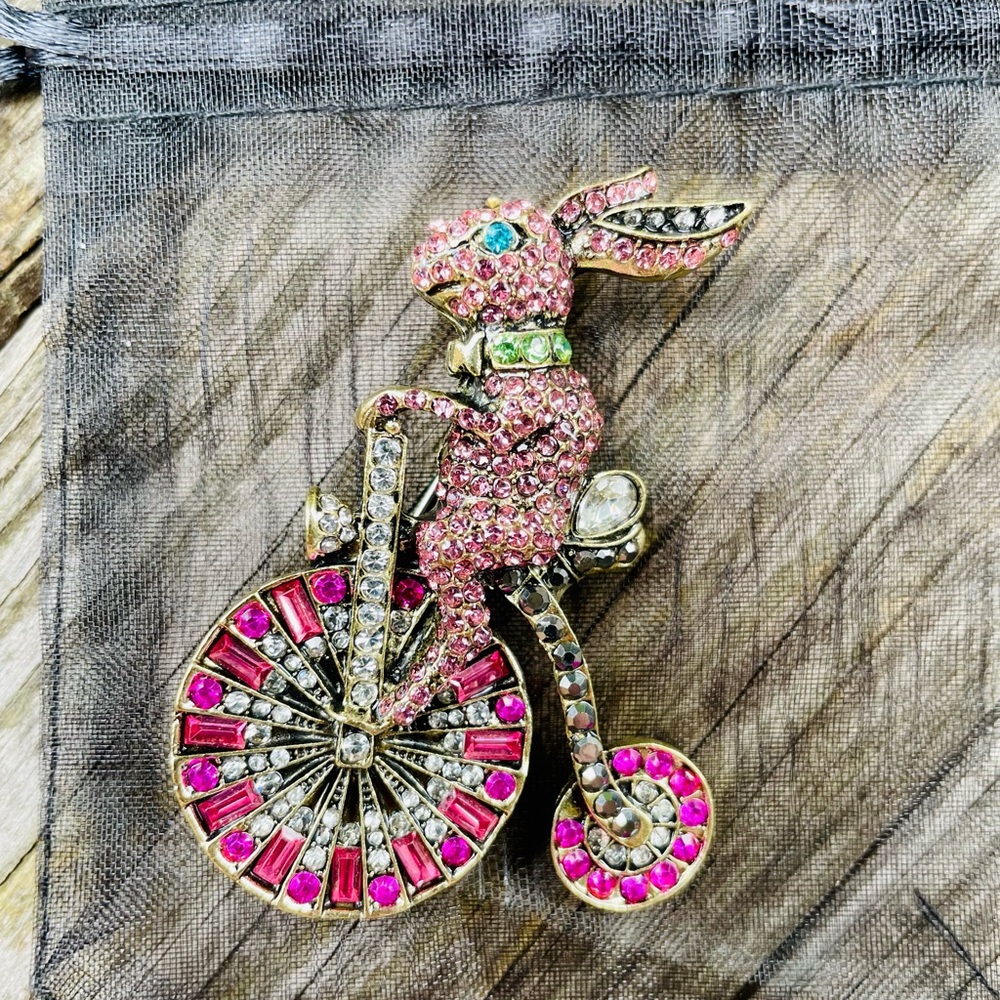 Bicycling bunny